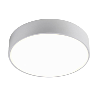 Купить Потолочный светодиодный светильник Favourite Flashled 2065-24C в Туле