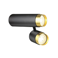 Купить Спот Lumien Hall Саурис LH8020/2C-BK-GD в Туле