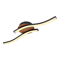 Купить Потолочный светодиодный светильник Globo Evita 67171-12 в Туле