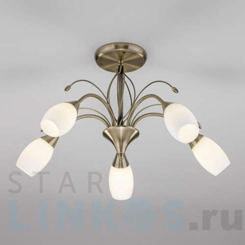 Купить Потолочная люстра Eurosvet 30280/5 античная бронза за 11 000 руб. в Туле Купить с доставкой Потолочная люстра Eurosvet 30280/5 античная бронза в Туле