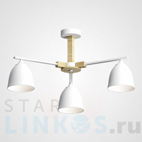 Купить Потолочная люстра Imperium Loft Noa 183465-26 за 17 230 руб. в Туле Купить с доставкой Потолочная люстра Imperium Loft Noa 183465-26 в Туле