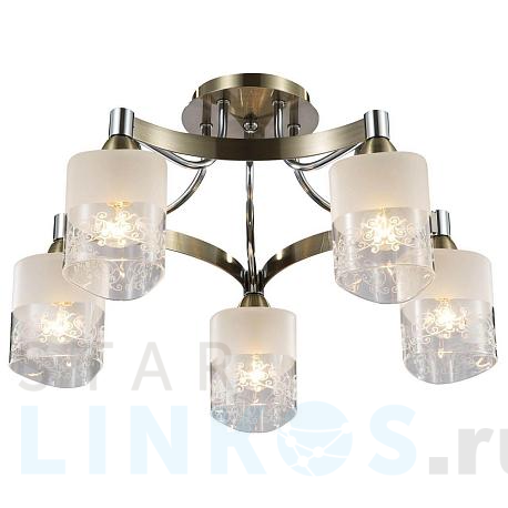 Купить Потолочная люстра Freya Tasmania FR5475CL-05CH за 19 990 руб. в Туле фото 2 Купить с доставкой Потолочная люстра Freya Tasmania FR5475CL-05CH в Туле фото 2