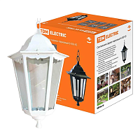 Купить Уличный подвесной светильник TDM Electric 6100-25 SQ0330-0070 в Туле