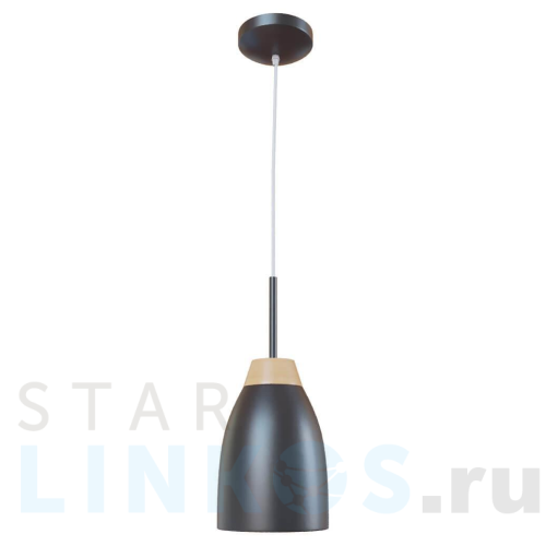 Купить Подвесной светильник Loft IT Watchman Loft4402A-Bl за 7 690 руб. в Туле Купить с доставкой Подвесной светильник Loft IT Watchman Loft4402A-Bl в Туле