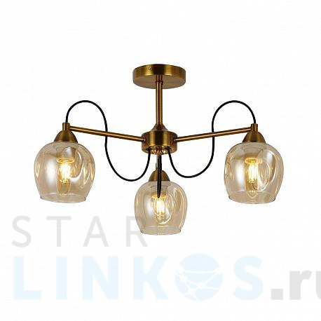 Купить Потолочная люстра Evoluce Acro SLE110002-03 за 6 840 руб. в Туле фото 2 Купить с доставкой Потолочная люстра Evoluce Acro SLE110002-03 в Туле фото 2