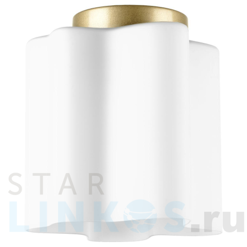 Купить Потолочный светильник Lightstar Nubi 802013 за 5 344 руб. в Туле Купить с доставкой Потолочный светильник Lightstar Nubi 802013 в Туле