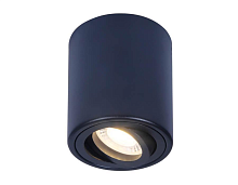 Купить Потолочный светильник Ambrella light Techno Spot TN226 в Туле