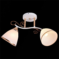 Купить Потолочный светильник 01017-0.3-02 WH+FGD в Туле