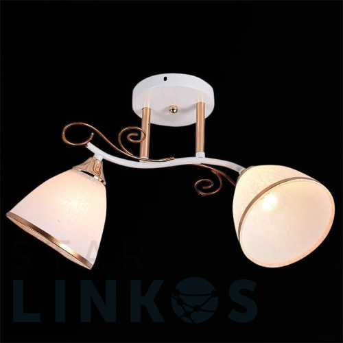 Купить Потолочный светильник 01017-0.3-02 WH+FGD за 1 600 руб. в Туле Купить с доставкой Потолочный светильник 01017-0.3-02 WH+FGD в Туле