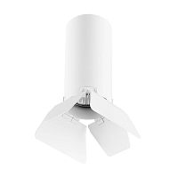 Купить Потолочный светильник Lightstar Rullo (214486+202436) R486436 в Туле