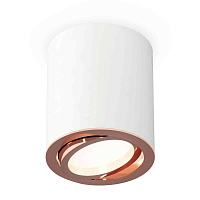 Купить Комплект накладного светильника Ambrella light Techno Spot XS7421004 SWH/PPG белый песок/золото розовое полированное (C7421, N7005) в Туле