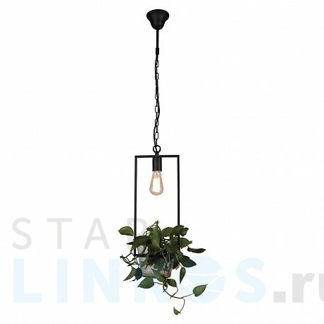 Купить Подвесной светильник Favourite Situla 1975-1P за 12 000 руб. в Туле фото 2 Купить с доставкой Подвесной светильник Favourite Situla 1975-1P в Туле фото 2