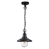 Купить Уличный подвесной светильник Odeon Light Nature Campa 4965/1 в Туле