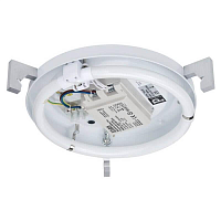 Купить Настенно-потолочный светильник Paulmann Basic Circle 70037 в Туле