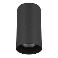 Купить Потолочный светильник Lightstar Rullo 216487 в Туле