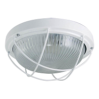 Купить Настенно-потолочный светильник TDM Electric НПП 03-100-102 SQ0311-0018 в Туле