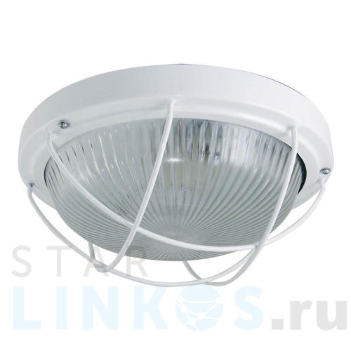 Купить с доставкой Настенно-потолочный светильник TDM Electric НПП 03-100-102 SQ0311-0018 в Туле