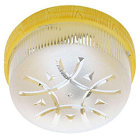 Купить Потолочный светильник Horoz Глоп Фавори 400-222-100 HRZ00001396 в Туле