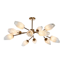 Купить Потолочная люстра Indigo Boccio 13003/12C Brass V000005 в Туле