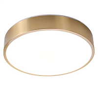 Купить Потолочный светодиодный светильник Zortes Monna ZRS.1209.10 в Туле