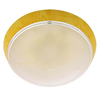 Купить Потолочный светильник Horoz Уфо Ерджиес 400-224-101 HRZ00001460 в Туле