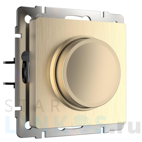 Купить Диммер Werkel шампань рифленый W1142010 4690389160288 за 4 100 руб. в Туле Купить с доставкой Диммер Werkel шампань рифленый W1142010 4690389160288 в Туле