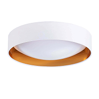 Купить Потолочный светодиодный светильник Evoluce Orbio SLE201122-01 в Туле