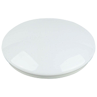 Купить Потолочный светодиодный светильник ЭРА SPB-6-24-4K Element круглый Б0054049 в Туле