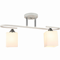 Купить Потолочный светильник Reluce 04600-0.3-02 в Туле