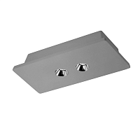 Купить Потолочный светодиодный светильник Loft IT Architect OL1072-GH/2 в Туле