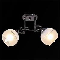 Купить Потолочный светильник Reluce 01031-0.3-02 BK в Туле