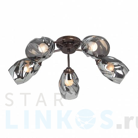 Купить Потолочная люстра Vitaluce V4936-7/5PL за 6 545 руб. в Туле фото 2 Купить с доставкой Потолочная люстра Vitaluce V4936-7/5PL в Туле фото 2