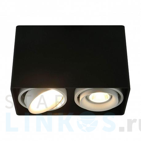 Купить Потолочный светильник Arte Lamp A5655PL-2BK за 4 450 руб. в Туле фото 2 Купить с доставкой Потолочный светильник Arte Lamp A5655PL-2BK в Туле фото 2