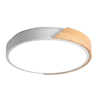 Купить Потолочный светодиодный светильник Jazzway PPB Sсandic-R 5036956 в Туле