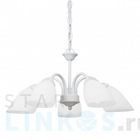 Купить Подвесная люстра Vitaluce V3336/5 за 4 644 руб. в Туле фото 2 Купить с доставкой Подвесная люстра Vitaluce V3336/5 в Туле фото 2