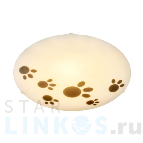 Купить Настенно-потолочный светильник Apeyron 16-182 за 676 руб. в Туле Купить с доставкой Настенно-потолочный светильник Apeyron 16-182 в Туле