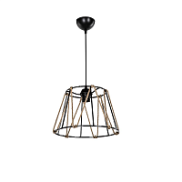Купить Подвесной светильник Toplight Georgiana TL1607H-01BK в Туле