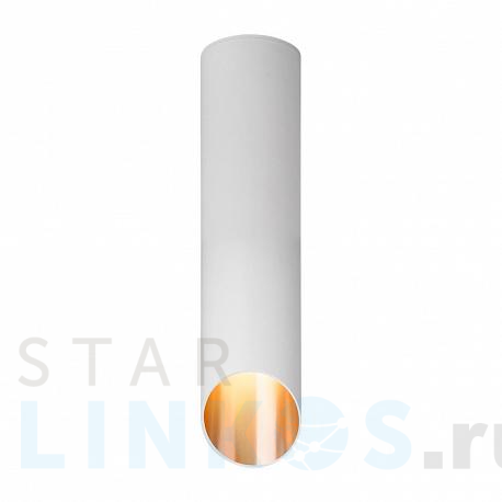 Купить Потолочный светильник Elektrostandard DLN115 GU10 белый/золото a050121 за 1 280 руб. в Туле фото 2 Купить с доставкой Потолочный светильник Elektrostandard DLN115 GU10 белый/золото a050121 в Туле фото 2