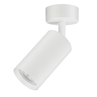 Купить Спот truEnergy Modern 21330 в Туле