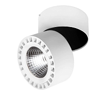 Купить Потолочный светодиодный светильник Lightstar Forte 381363 в Туле