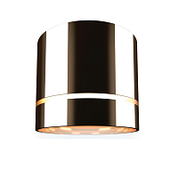 Купить Накладной потолочный светильник Ritter Arton 59945 6 в Туле