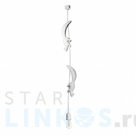 Купить Подвесной светильник Loft IT Sherwood 10093 за 11 010 руб. в Туле фото 2 Купить с доставкой Подвесной светильник Loft IT Sherwood 10093 в Туле фото 2