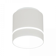 Купить Потолочный светодиодный светильник Citilux Борн CL745020N в Туле