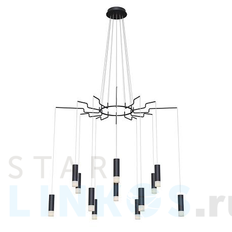 Купить Подвесная люстра Maytoni Davida MOD035PL-12B за 39 290 руб. в Туле фото 2 Купить с доставкой Подвесная люстра Maytoni Davida MOD035PL-12B в Туле фото 2