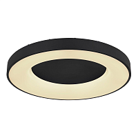 Купить Потолочный светодиодный светильник Globo Jolli 41758-42B в Туле