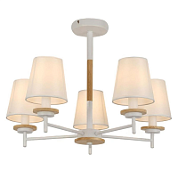 Купить Потолочная люстра MyFar Daniel MR1841-5C в Туле