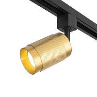 Купить Трековый светильник Elektrostandard Tony MRL 1012 GU10 золото a048161 в Туле