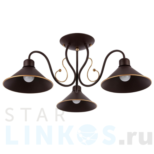 Купить Потолочная люстра Evoluce Ciolla SLE120402-03 за 5 690 руб. в Туле Купить с доставкой Потолочная люстра Evoluce Ciolla SLE120402-03 в Туле