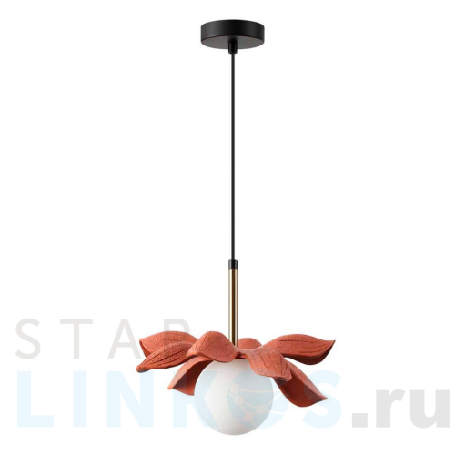 Купить Подвесной светильник Lumion Tanzania 5618/1 за 4 870 руб. в Туле Купить с доставкой Подвесной светильник Lumion Tanzania 5618/1 в Туле