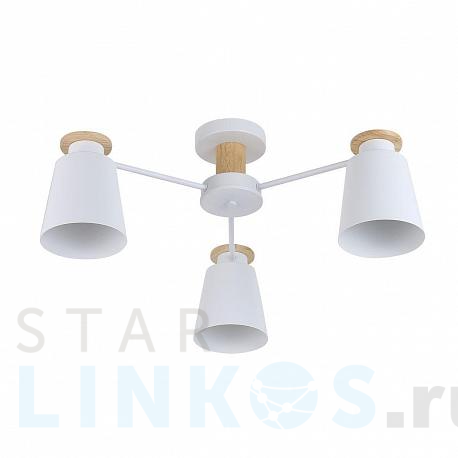 Купить Потолочная люстра Rivoli Adna 9112-303 Б0053435 за 5 513 руб. в Туле фото 2 Купить с доставкой Потолочная люстра Rivoli Adna 9112-303 Б0053435 в Туле фото 2